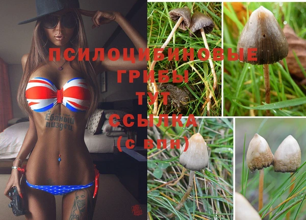 МДПВ Верхний Тагил