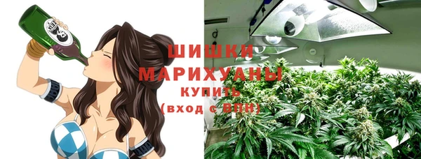 МДПВ Верхний Тагил