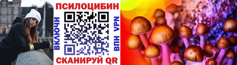 как найти закладки  OMG как войти  Псилоцибиновые грибы MAGIC MUSHROOMS  Пенза 